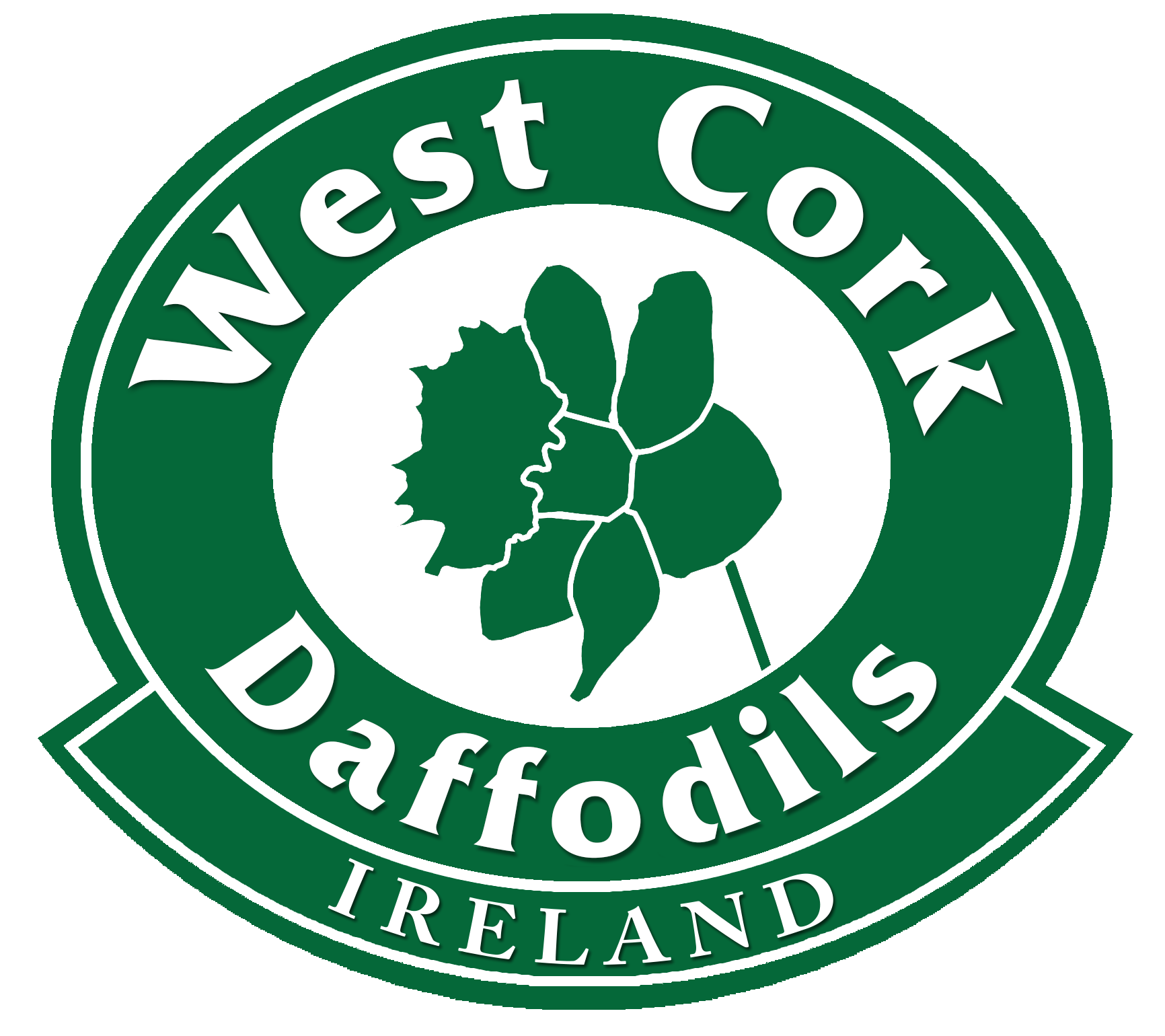 West Cork Daffodils